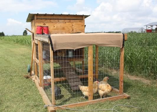 Are you getting ready to build a chicken coop? These free chicken coop plans are sure to help you out!