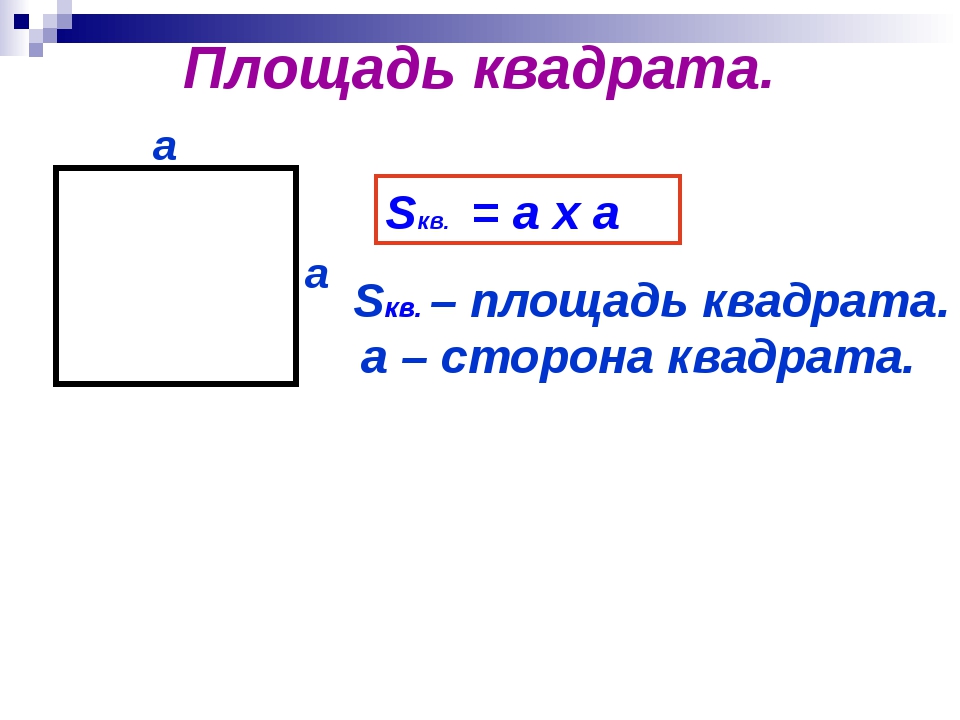 Площадь прямоугольника площадь квадрата 8 класс презентация