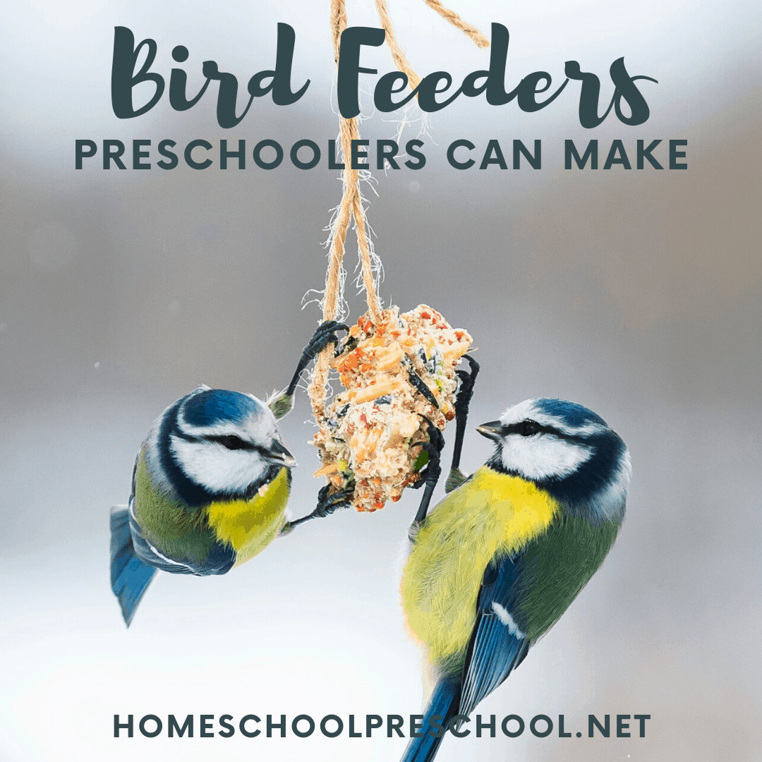 Discover a variety of simple bird feeders for preschoolers to make and hang in the trees. They
