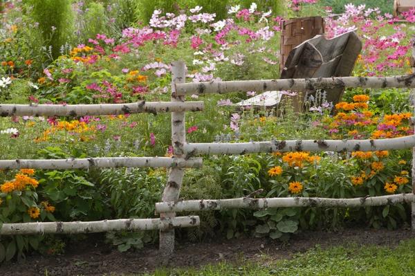 В деревенском стиле: простой забор из березовых жердей