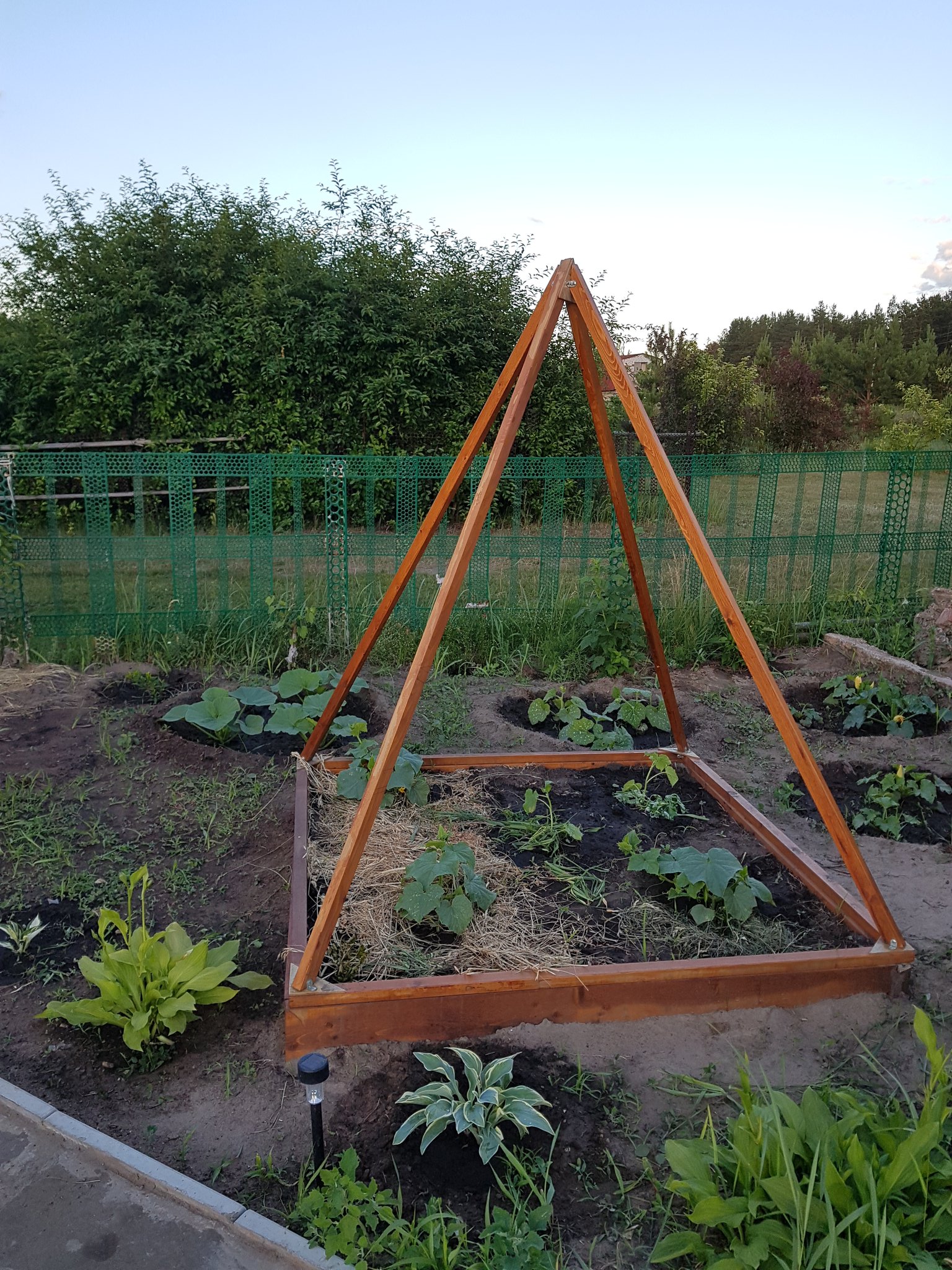 Грядка под огурцы своими руками фото