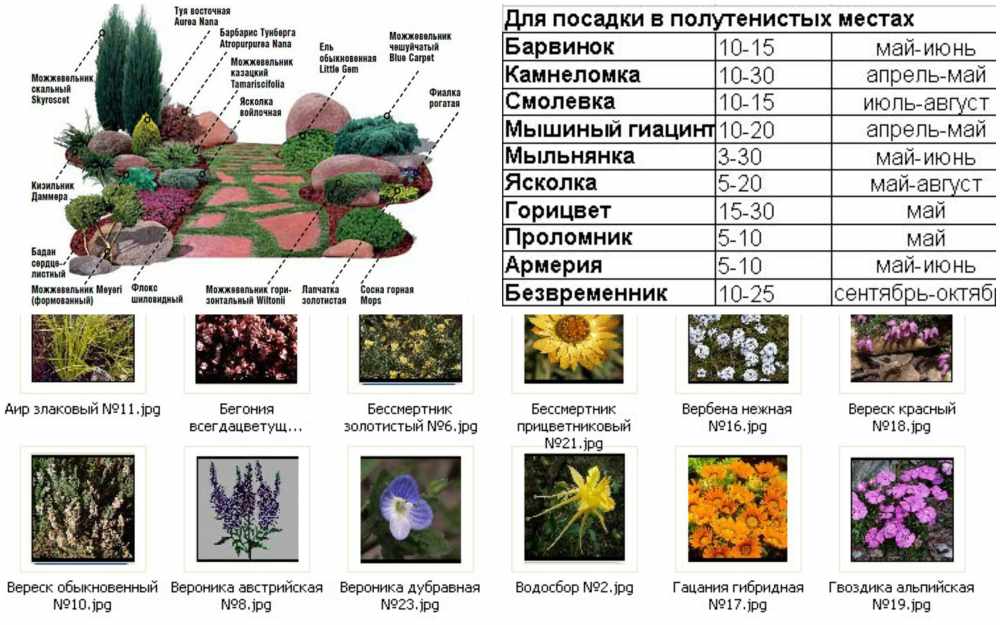 Схема с названиями